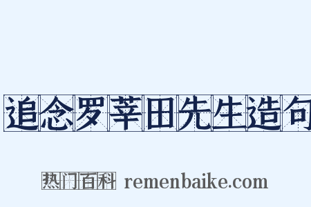 追念罗莘田先生造句是什么意思的图片